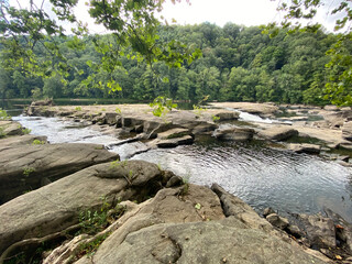 Rocky river in the woods