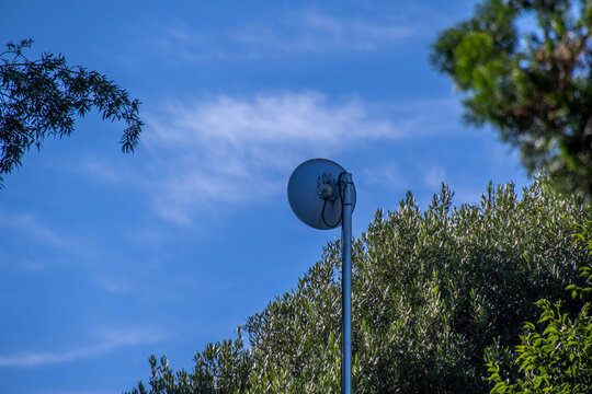Dish antenna isolated against a blue skyline between the tops of green trees