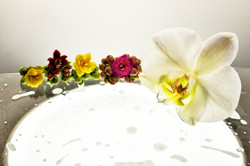 The concept of beauty flowers  