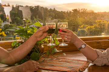 Pareja brindando con vino