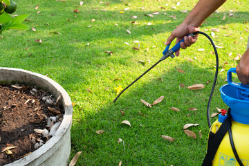 gardener spray herbicide to kill weed in the lawn in garden