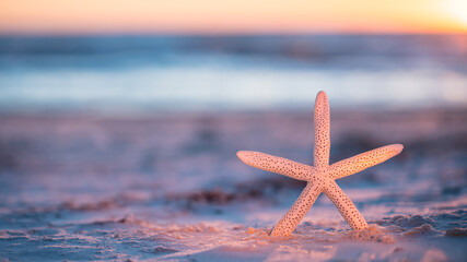 Fototapeta na wymiar Starfish on the ocean beach. Spring or summer vacations. Beautiful ocean sunset. Ocean sand. Sea coast. Florida paradise. Tropical nature. Beautiful ocean sunset. Concept for travel agency.
