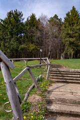 Sunny stairway to the forest