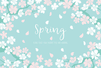 シンプルな満開の桜の背景素材 © TAKAO