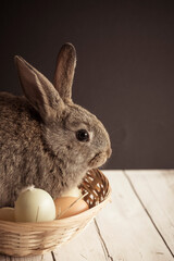 Cute Easter bunny nestled in a basket with colorful eggs on dark background. Spring wallpaper with copy space. Vertical shot.