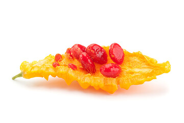 Momordica vegetable on white