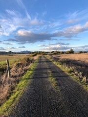 Naklejka premium Path in winter at wetlands 