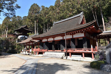 Fototapeta premium 長命寺 三仏堂・護法権現社拝殿・鐘楼 滋賀県近江八幡市