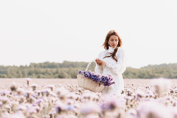 girl in the field with a bouquet of flowers in a basket in nature