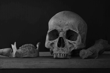 Skull and Jaw with bone on the plank and dark background
