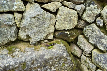 stone wall background