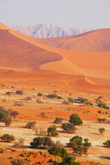 Fototapeta na wymiar Sand desert in Namib