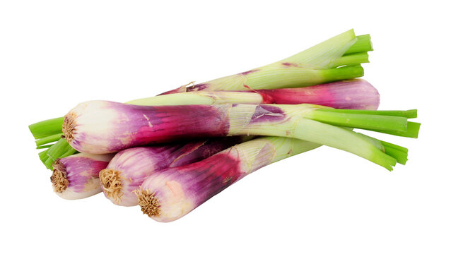 Group Of Fresh Red Scallions Isolated On A White Background