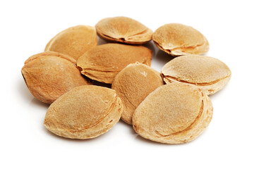 Dry apricot nut 