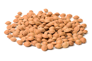 Dry apricot nut 