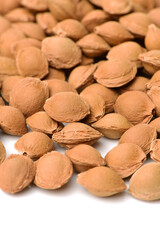 Dry apricot nut 