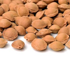 Dry apricot nut 