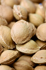 Dry apricot nut 