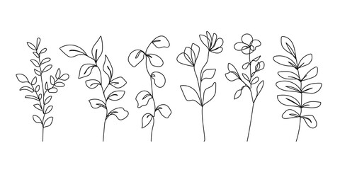 Continuous Line Drawing Set Of Flowers, Plants, Leaves Black Sketch Isolated on White Background. Simple Flowers One Line Illustration Set. Minimalist Botanical Drawing. Vector EPS 10.
