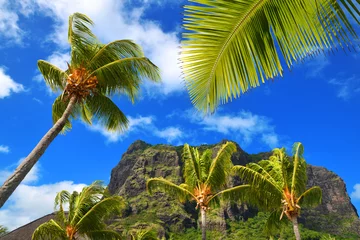 Papier Peint photo Le Morne, Maurice Le Morne Brabant mountain with coconut palm trees on the south of Mauritius island. Tropical destinations.