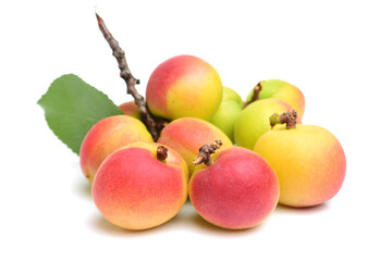 Fresh cut apricot fruits isolated on white background, with clipping path
