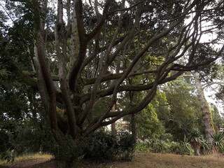 Fototapeta premium Prueba