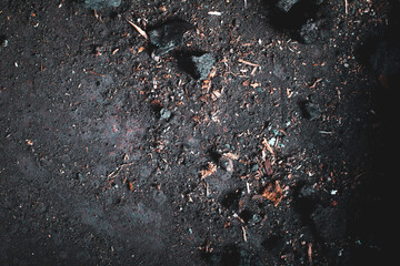 Dirty vintage background. Rough structure