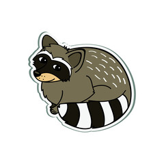 Racoon Cartoon Illustration