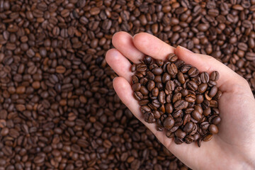 Freshly roasted coffee beans in a female palm