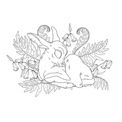 Little forest deer coloring book page