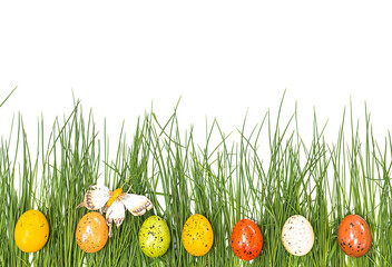 Happy Easter greeting card. Easter eggs on green grass and white background. Space for text, flat lay