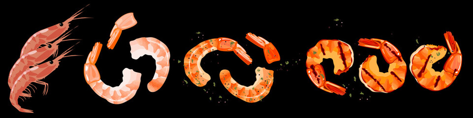 Set of shrimps and prawns. Uncooked, boiled and grilled crustaceans and tails. Vector Illustration
