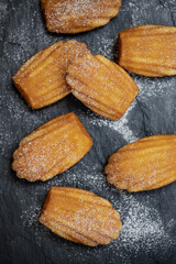 French madeleines cookies with icing sugar on a stone plate