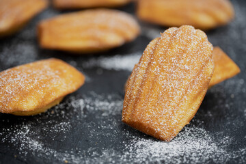 French madeleines cookies with icing sugar on a stone plate