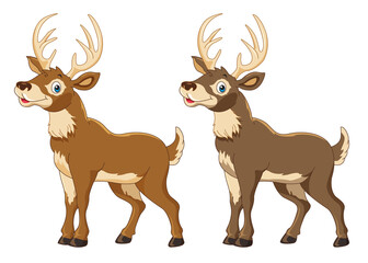 White-tailed deer cute cartoon with 2 colors 