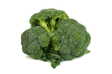 group of very fresh green broccoli with drops of water, isolated on white background. Vegetables background with copy space.