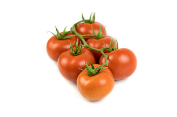 Group of red tomato on branch, six units, isolated on white background. Fruits and vegetables background, copy space.