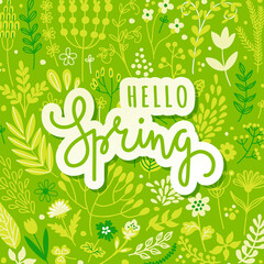 Hello spring, flowers, leaves, text, lettering slogan. Spring season hand drawing logo, background, frame. Vector illustration for greeting card, invitation template, poster, banner.