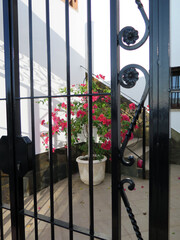 Secluded entrance port with flowerpot behind gate