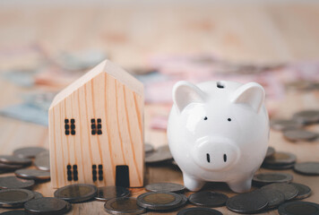pig piggy bank and house model on the coi. savings concept