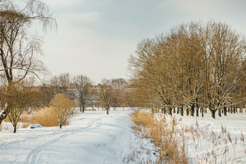 Trail of people in the snow, with snow-covered trees, blue skies on a sunny winter day, Riga, Agenskalns 2021 winter, Uzvaras parks