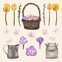 Beautiful spring flowers with pussy willow and basket with eggs