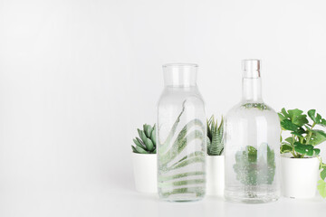 plants in pots distorted through water in bottle on white background. Home decor, eco friendly, relax, gardening concept. copy space
