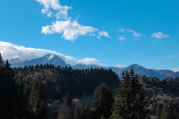 Carpathian Mountains