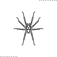 Brown Recluse Spider, poisonous insect vector icon in outline