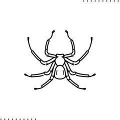 Sicariidae, poisonous spider vector icon in outline