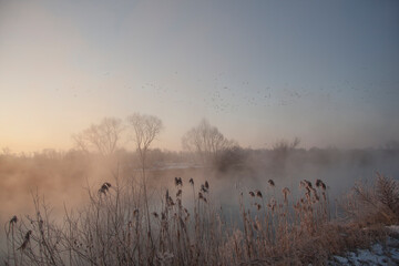 Spring landscape - dawn over the spring river