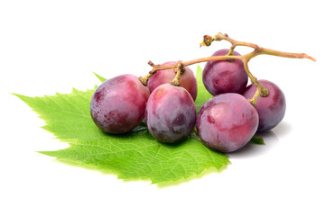 grape on white background 