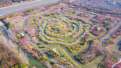 Overlooking a large plum blossom forest from the sky