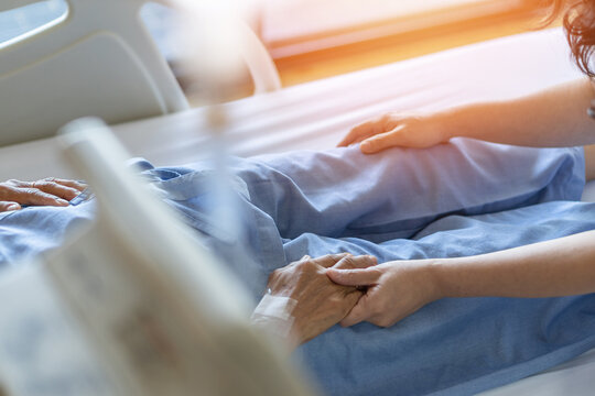 Caregiver And Elderly Senior Patient (aged Old Adult Person) Holding Hands In Hospital Bed Or Nursing Hospice, Geriatrician Palliative Home, While Caretaker Having  Medical Health Care Service